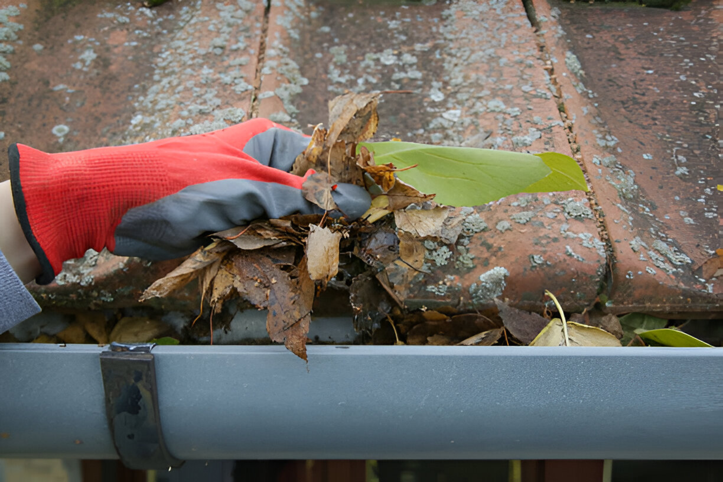 How Frequent Should I Clean My Gutters