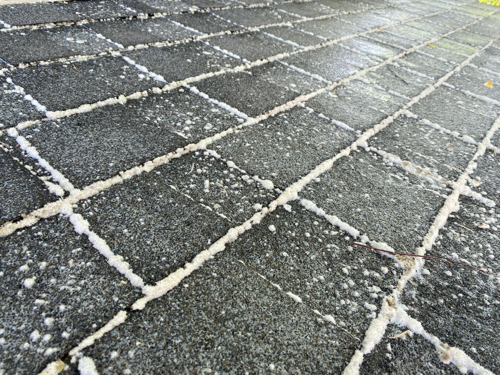 Close up of Roof Washing