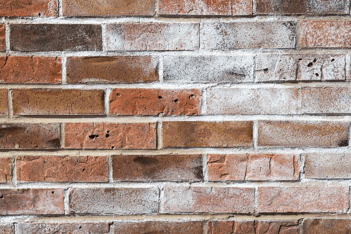 Efflorescence Removal