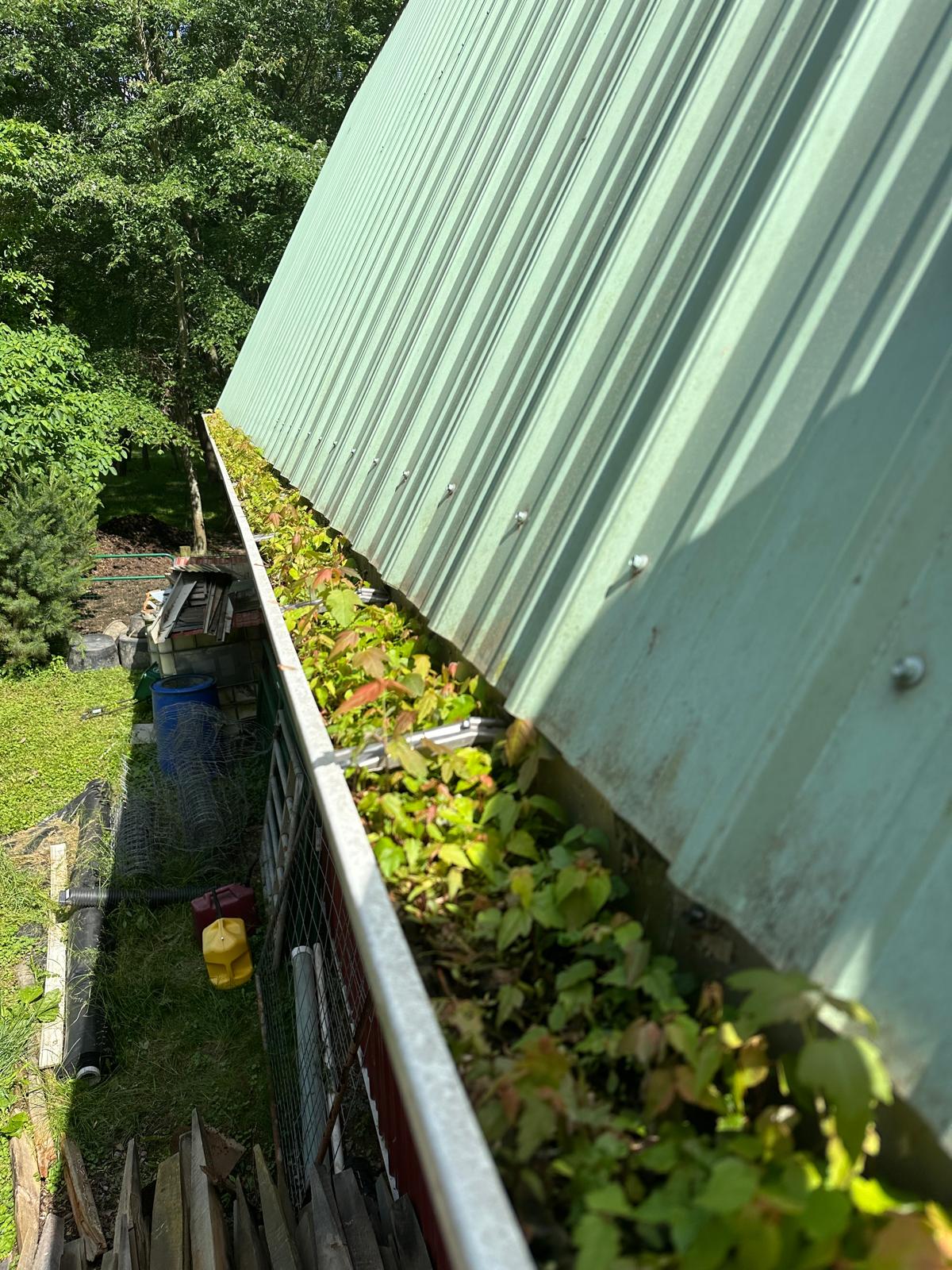 Commercial Gutter Cleaning