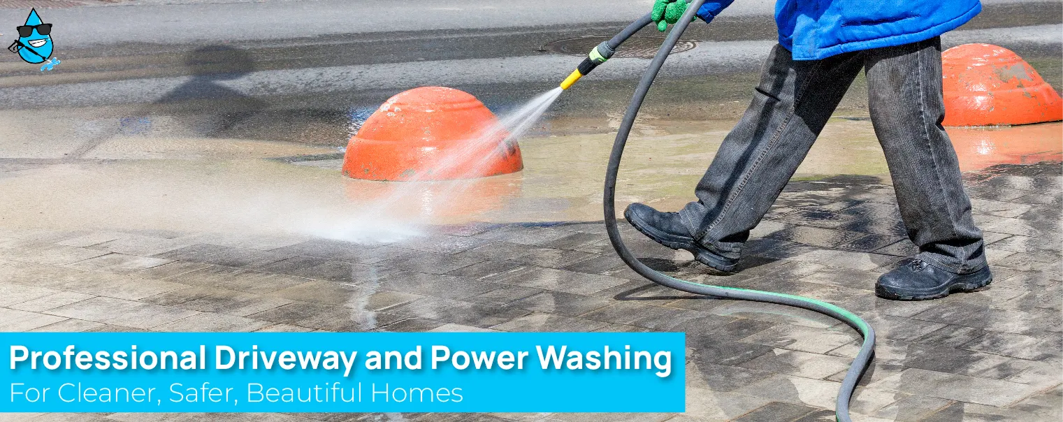 Professional Driveway